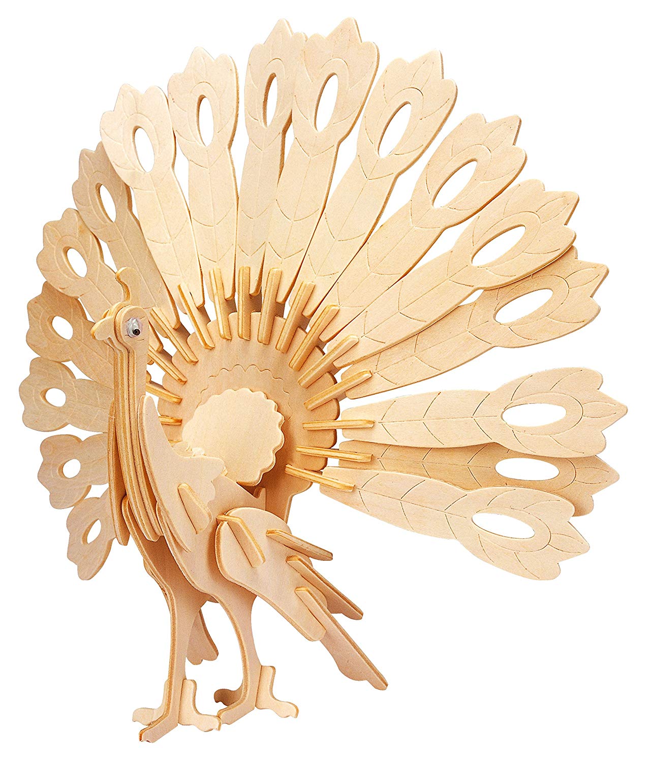 Gepetto`S Peafowl 29